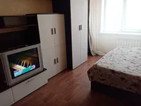 Миниатюра квартиры 4