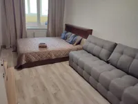 Миниатюра квартиры 10