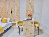 Миниатюра квартиры 19