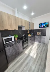 Миниатюра квартиры 3