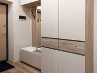 Миниатюра квартиры 20