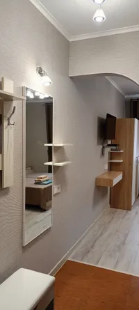 Миниатюра квартиры 10