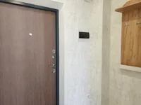 Миниатюра квартиры 9