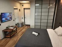 Миниатюра квартиры 16