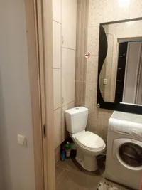 Миниатюра квартиры 17