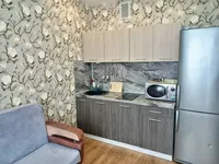 Миниатюра квартиры 8