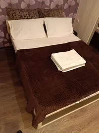 Миниатюра квартиры 5