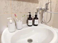 Миниатюра квартиры 9