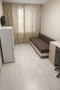 Миниатюра квартиры 3