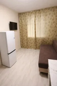 Миниатюра квартиры 1