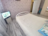 Миниатюра квартиры 4