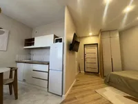 Миниатюра квартиры 3