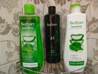 Миниатюра квартиры 17