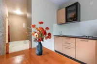 Миниатюра квартиры 4