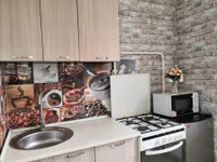 Миниатюра квартиры 3