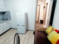 Миниатюра квартиры 20