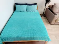 Миниатюра квартиры 10