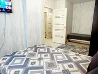 Миниатюра квартиры 11