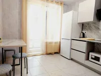 Миниатюра квартиры 13