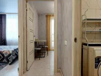Миниатюра квартиры 20