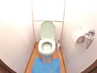 Миниатюра квартиры 10