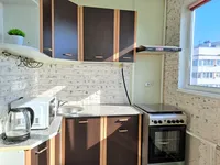 Миниатюра квартиры 9