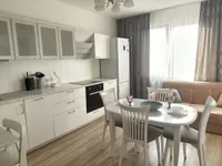 Миниатюра квартиры 9