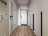 Миниатюра квартиры 22