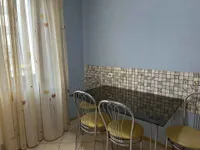 Миниатюра квартиры 13