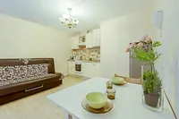 Миниатюра квартиры 13