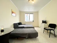 Миниатюра квартиры 13