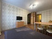 Миниатюра квартиры 2