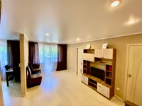 Миниатюра квартиры 4