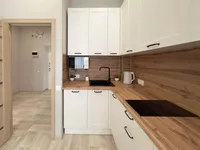 Миниатюра квартиры 12