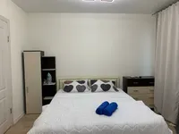 Миниатюра квартиры 8