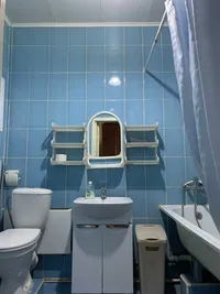 Миниатюра квартиры 2