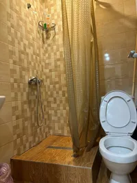 Миниатюра квартиры 10