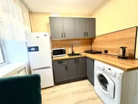 Миниатюра квартиры 7