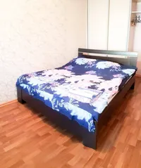 Миниатюра квартиры 4