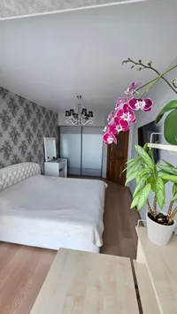 Миниатюра квартиры 19