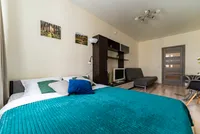 Миниатюра квартиры 17