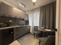 Миниатюра квартиры 11