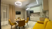 Миниатюра квартиры 3