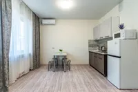 Миниатюра квартиры 9