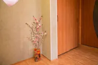 Миниатюра квартиры 9