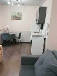 Миниатюра квартиры 17