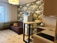 Миниатюра квартиры 20