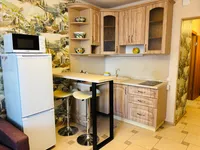 Миниатюра квартиры 19