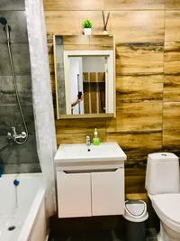 Миниатюра квартиры 3