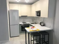 Миниатюра квартиры 5